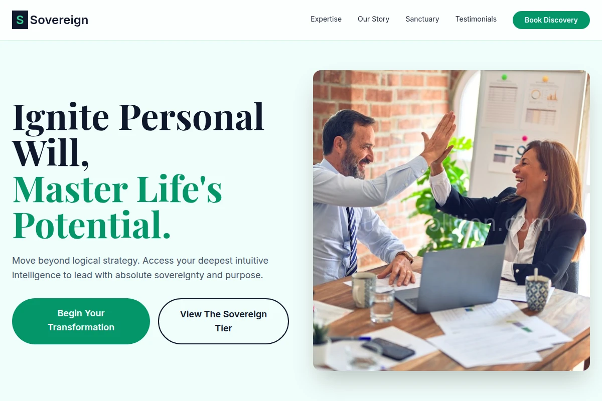 intuition Business Coach