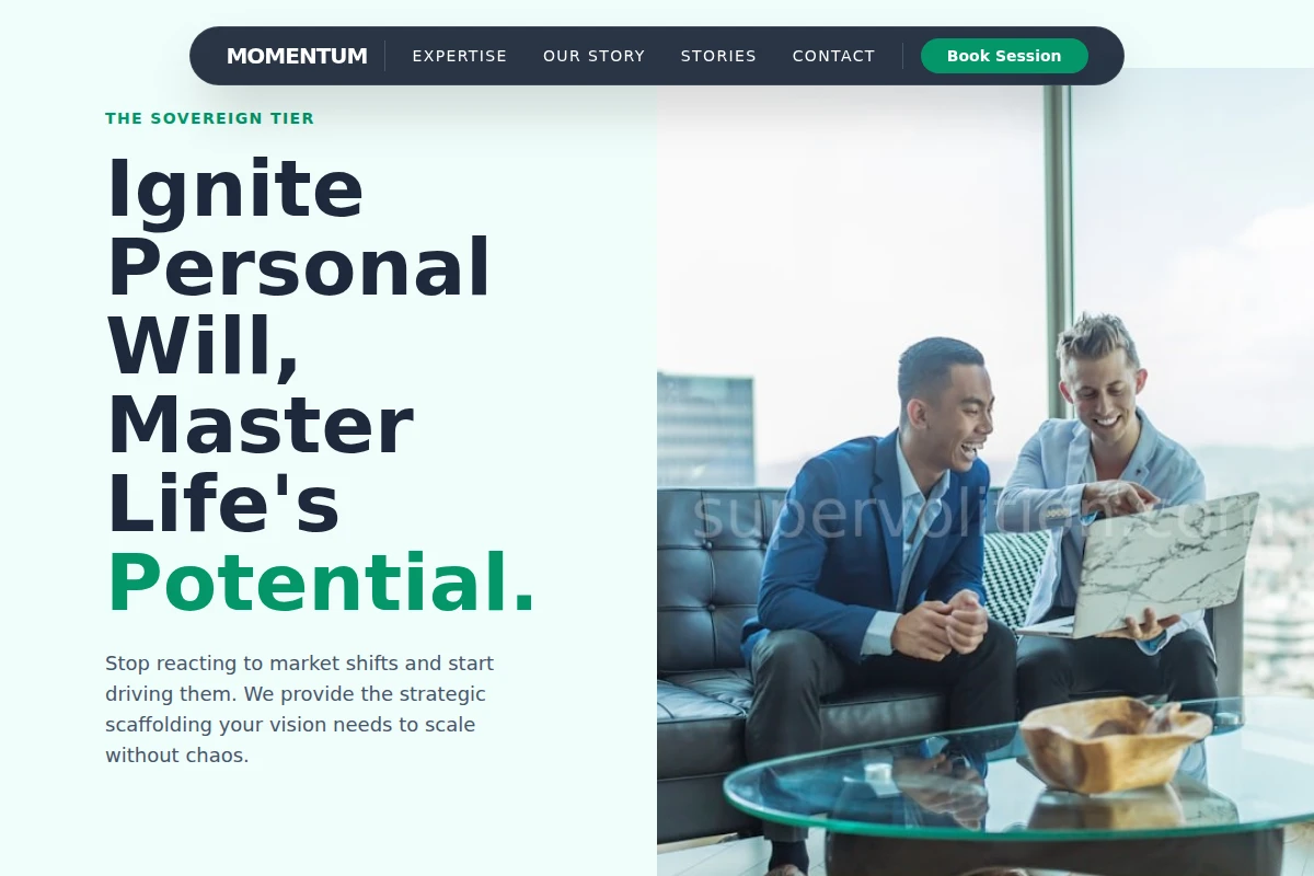 momentum Business Coach