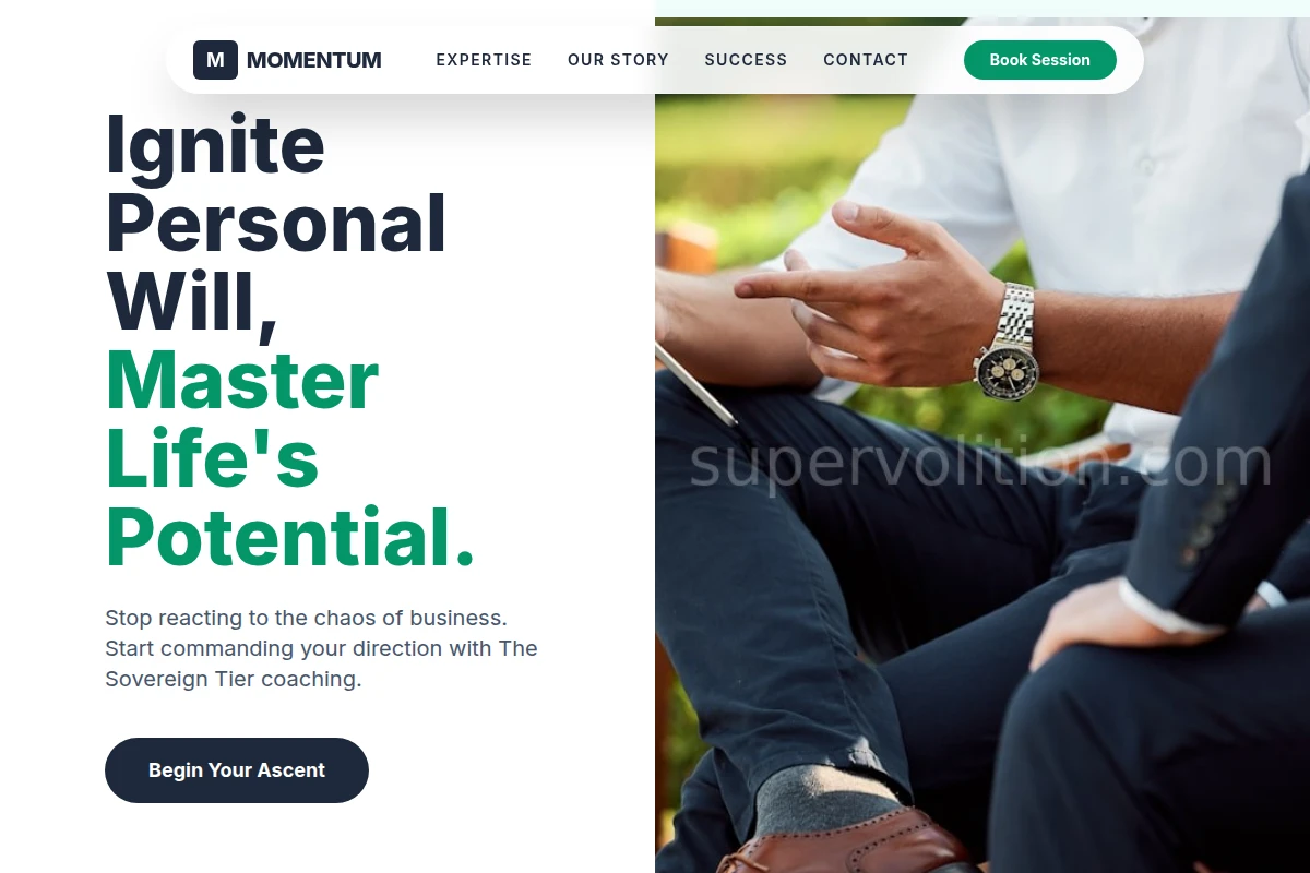 momentum Business Coach
