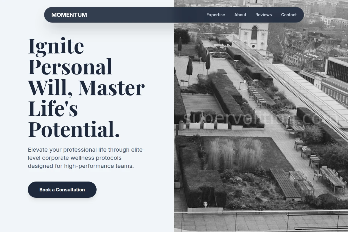 momentum Corporate Wellness